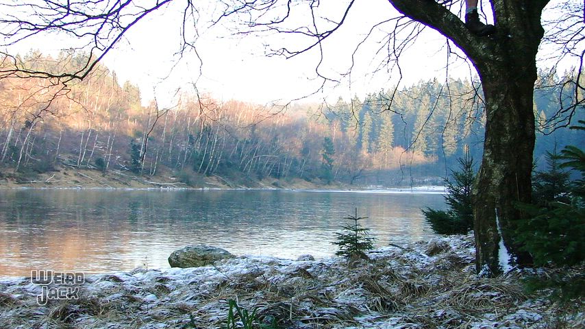 Late afternoon at the lake