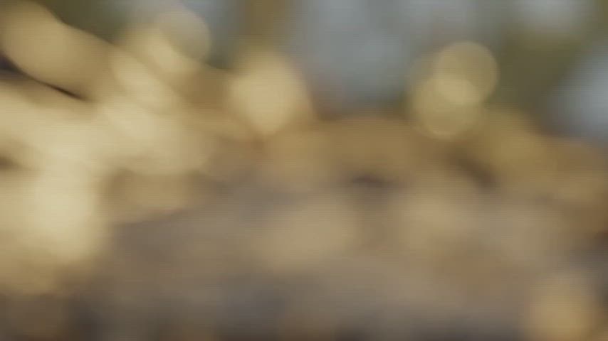 Fucking a giant slug woman [FM] (art and animation by Snips456fur and Wattchewant)