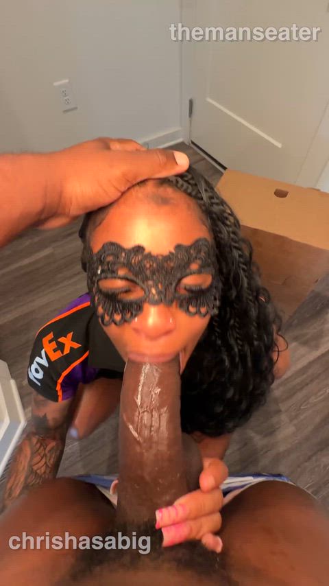 BBC swallow
