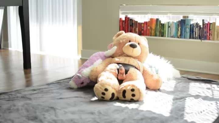 Teddy ride