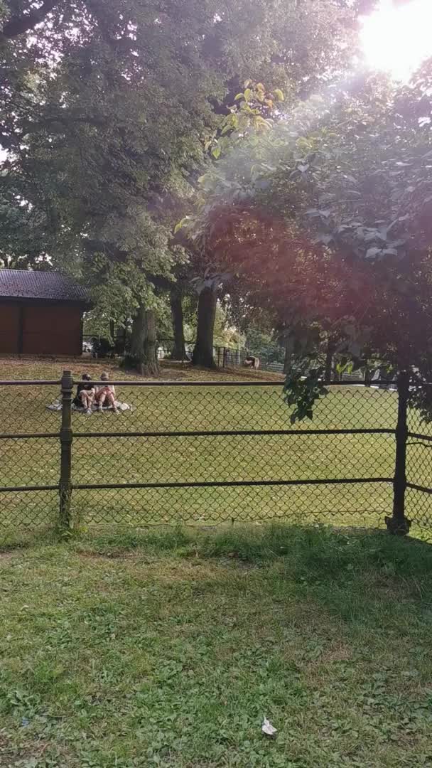 Blonde slut pooping in the park
