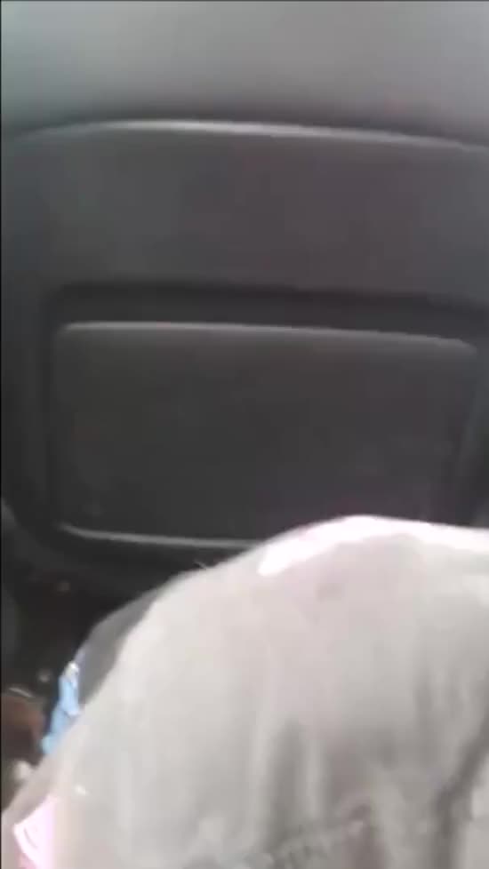 Friends Ended Up in The Back of The Car