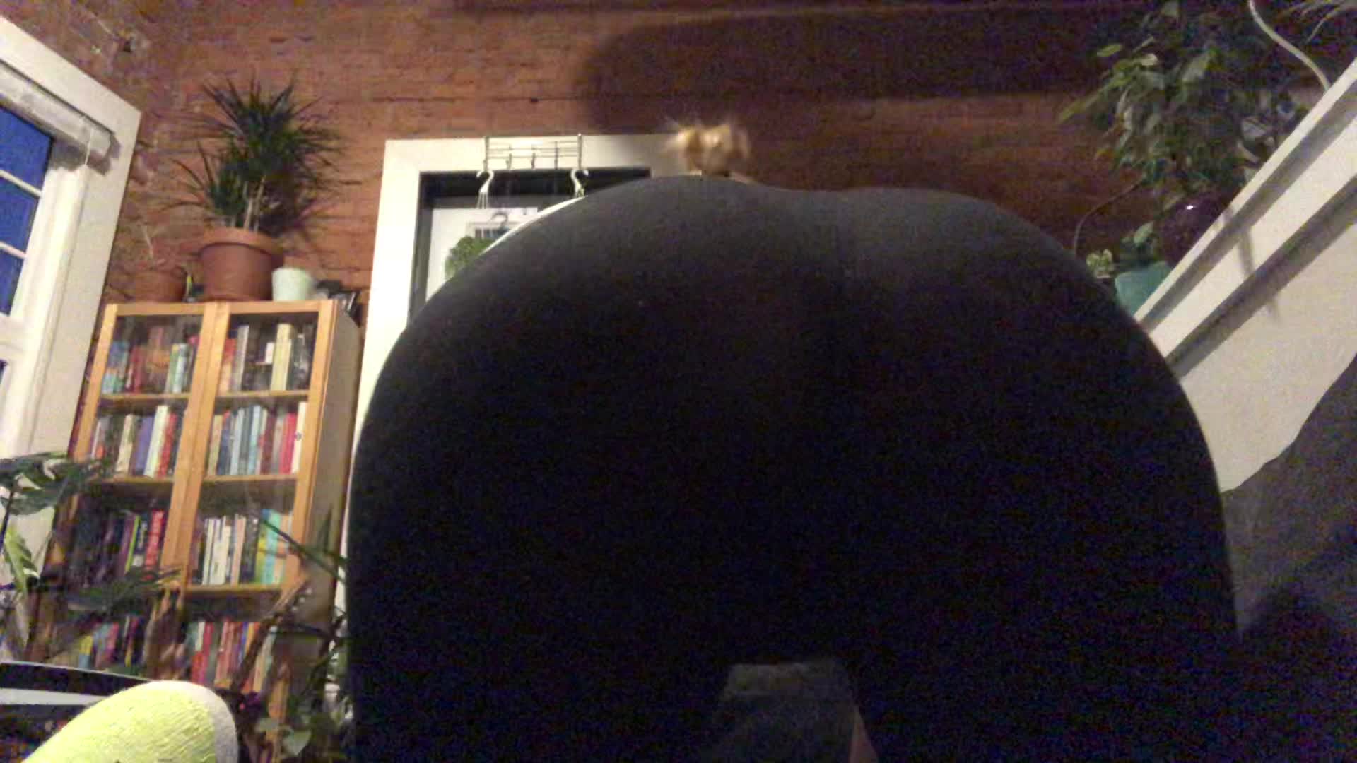 A avourite I made recently 🍑
