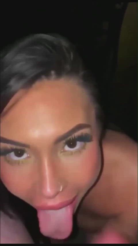 ExcitableUniformAbyssiniancat thumbnail