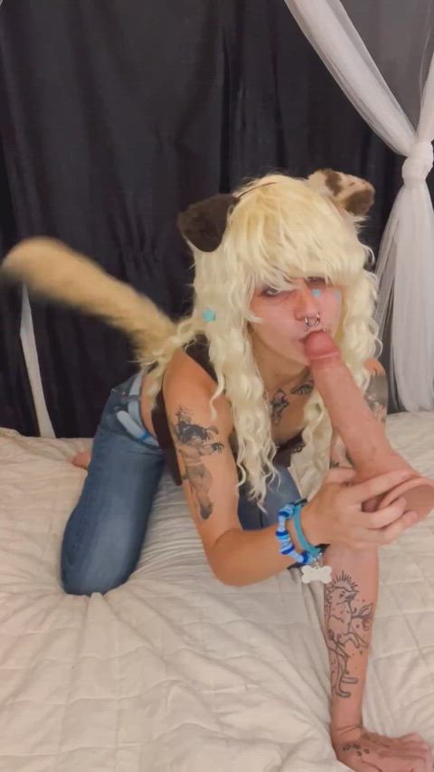 ur new puppy loves sucking dick!