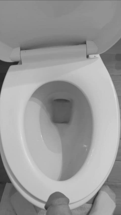 Golden Shower Pee Peeing Piss Pissing Swallowing Porn GIF by randeee4u
