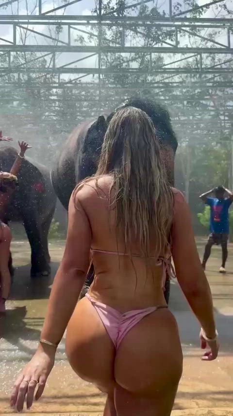 Ass GIF by carlinicki