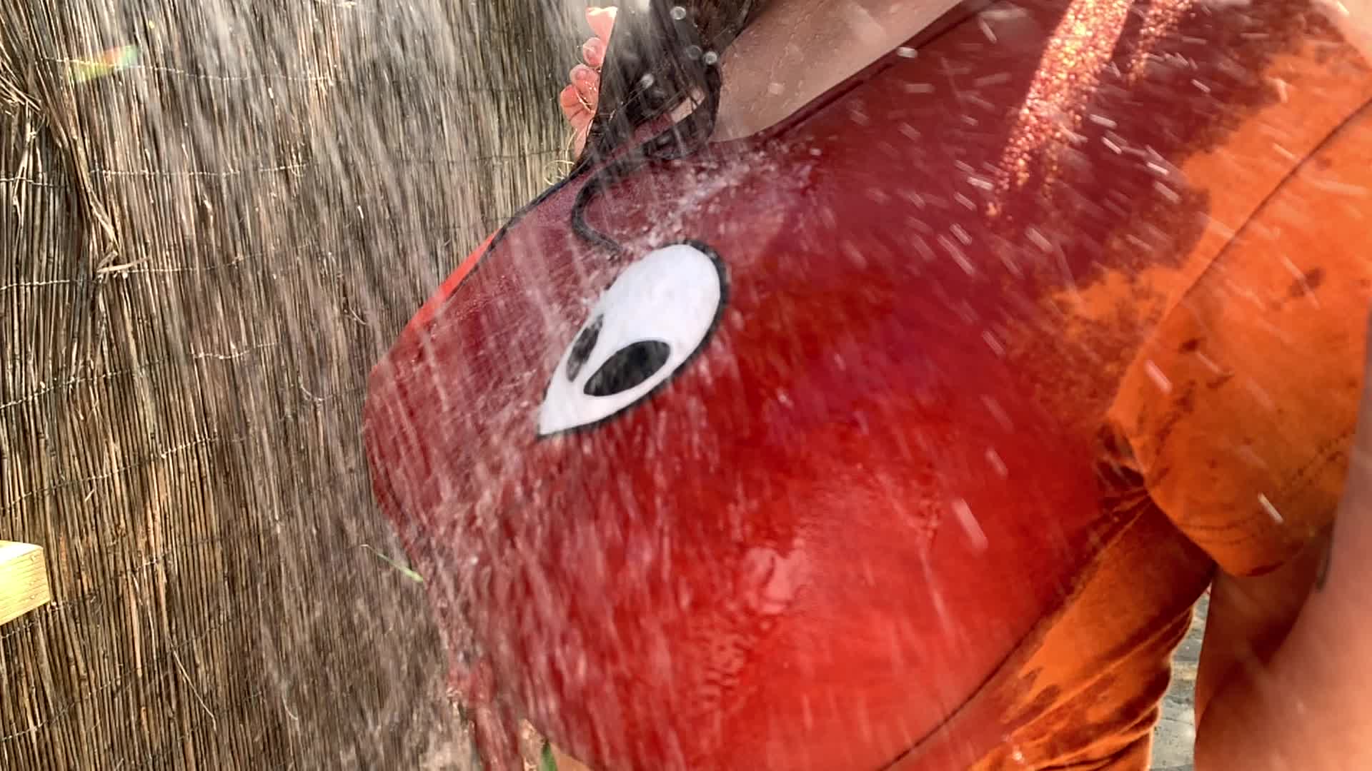 Dani Wet Boobs