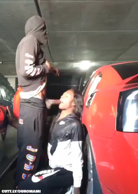 Amateur BBC Big Dick Blowjob Public Porn GIF by duromami