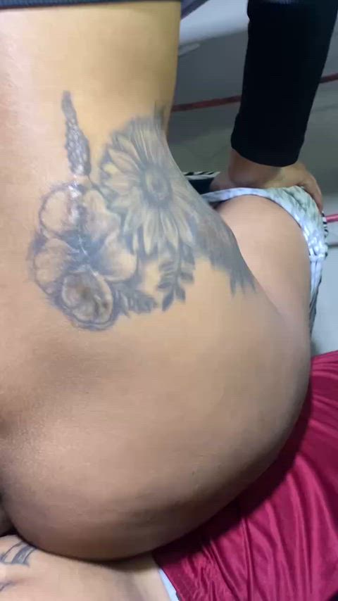 FamousFrequentPolarbear thumbnail