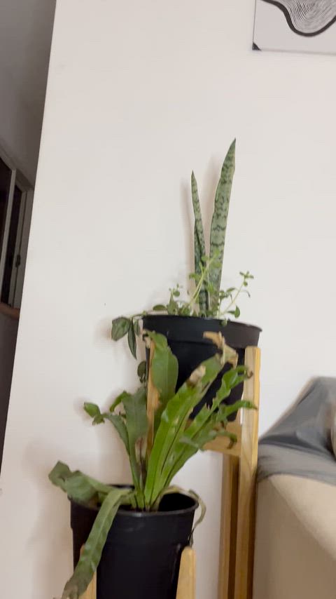 Would men over 30 fuck me again and again?