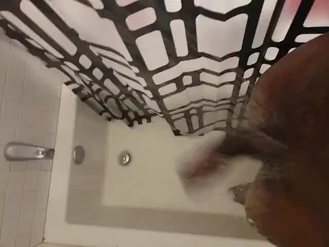 Just came to wave hi!