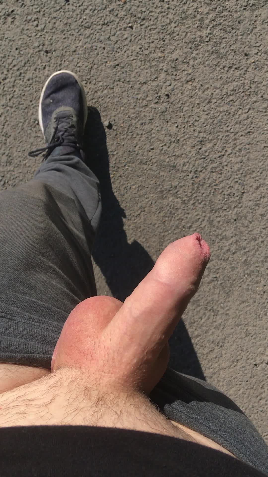 Out for a walk
