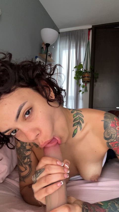 Amateur Blowjob CamSoda Dildo Fetish Homemade NSFW Solo Tease Teen Porn GIF by sofiareyes