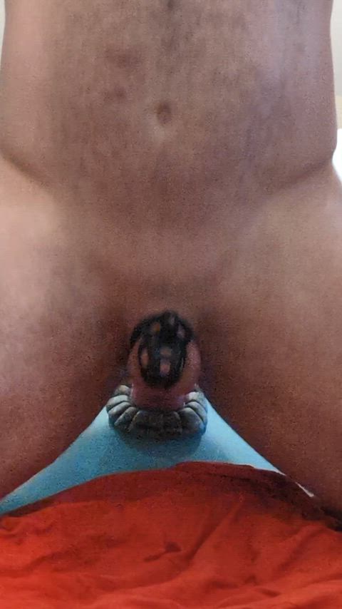 Multiple O's from horse dildo!