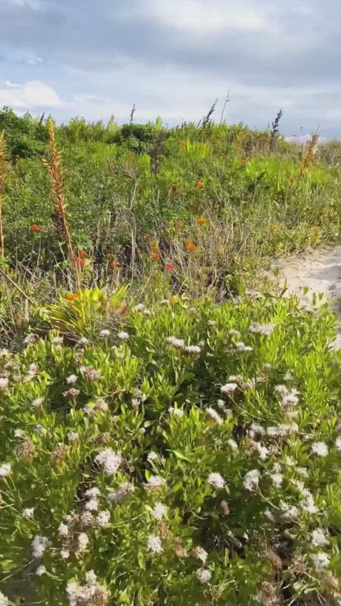 Giving him his most memorable blowjob