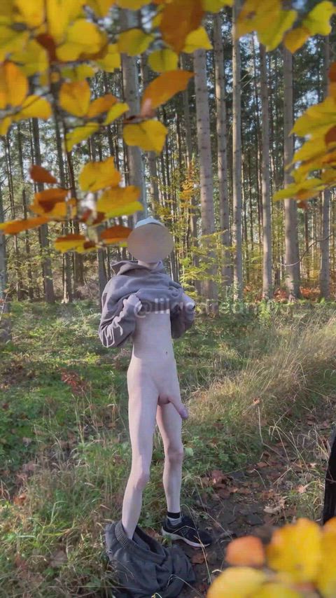 autumn vibes