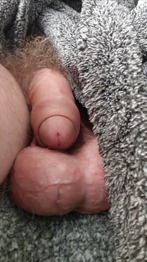 Ballplay Balls Big Balls Porn GIF by cab1122