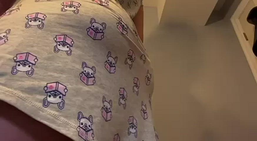 FeistyLovableHedgehog thumbnail