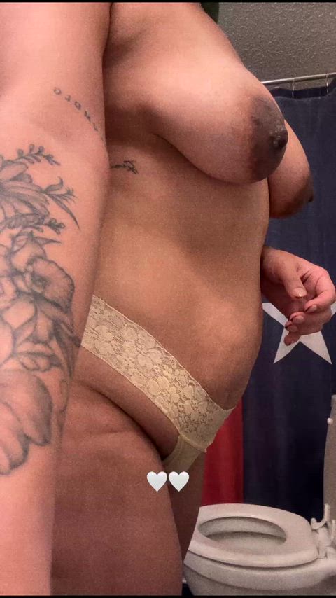 FelineLividAdmiralbutterfly thumbnail