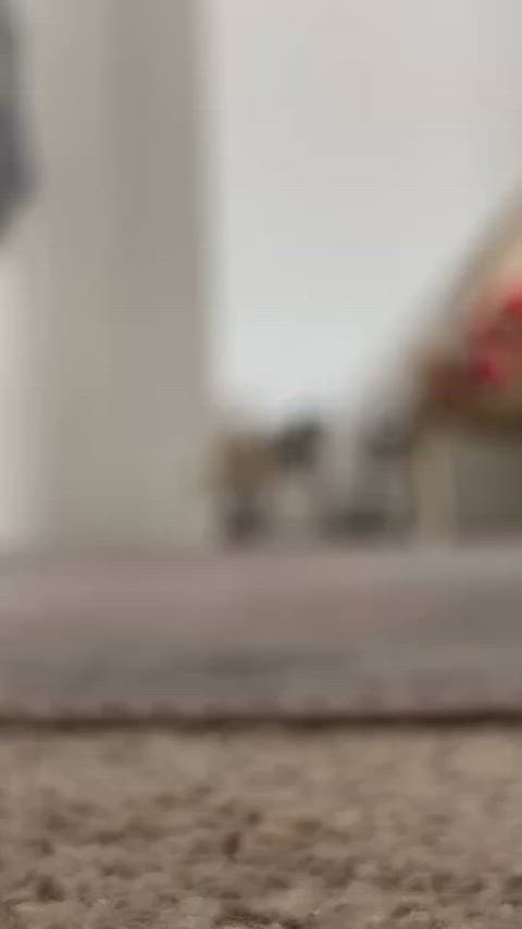 FelineQuarrelsomeWildcat thumbnail