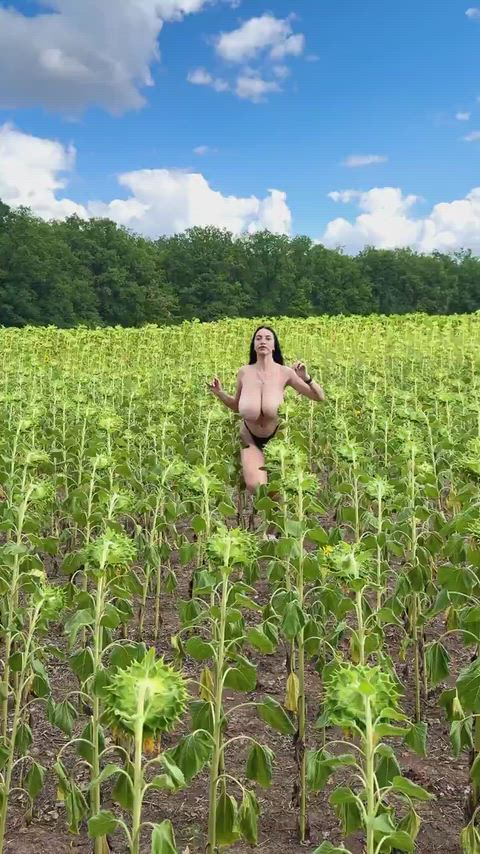 Frolicking through the field
