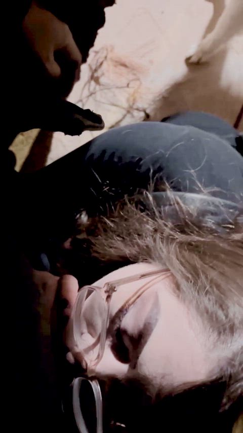 nice evening for a walk