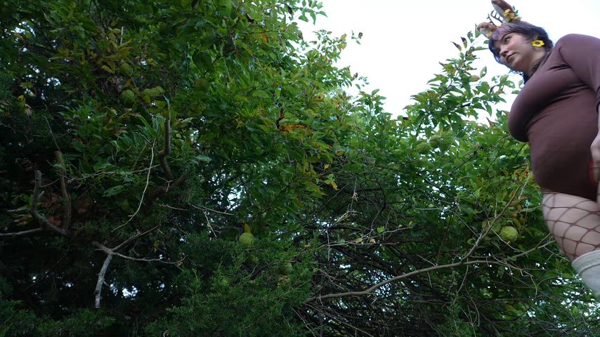 Jackalope by DelilahtheBaker