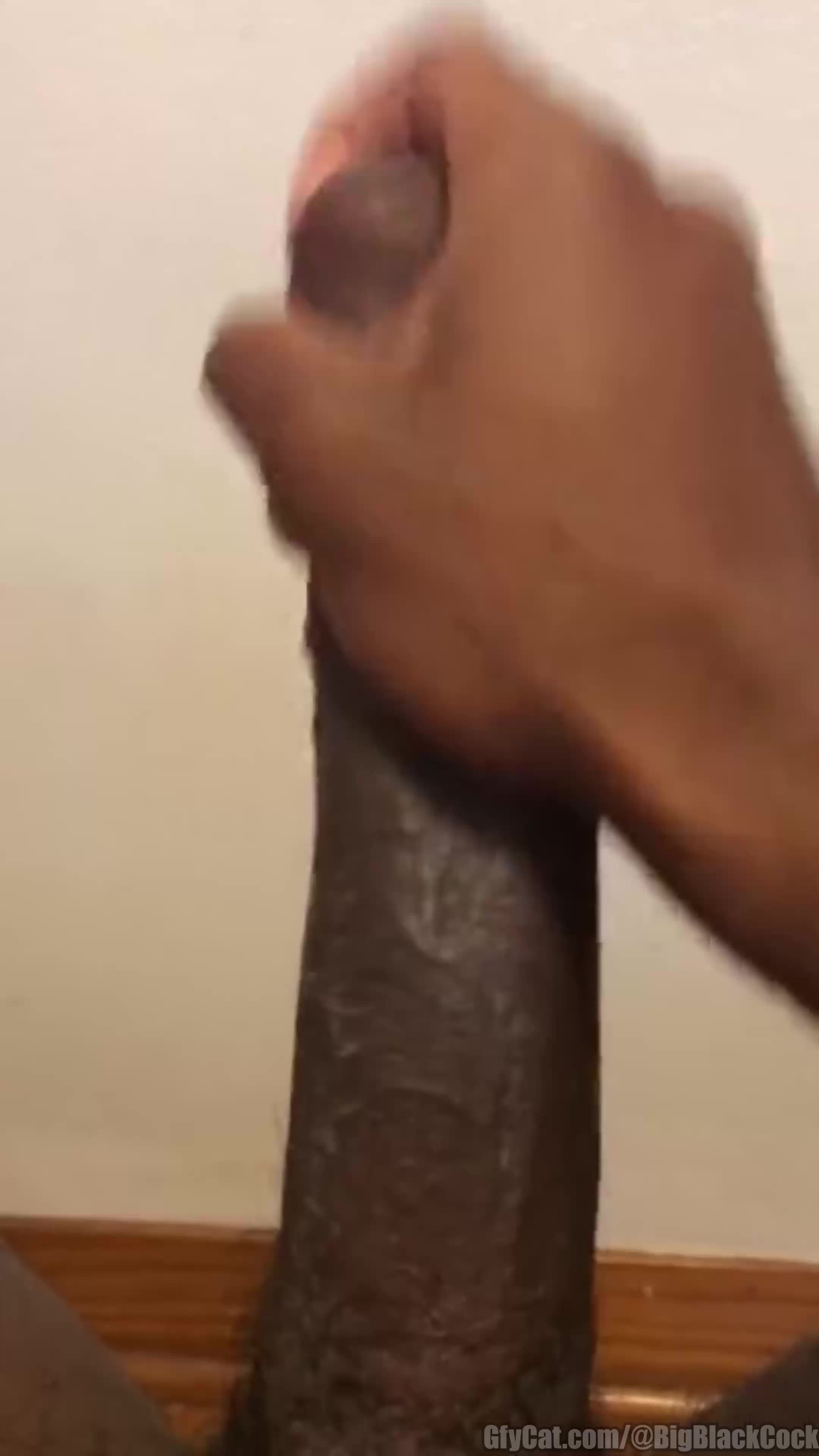 How big do you think it is?
