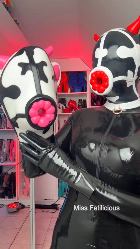 Amateur Catsuit Fetish Latex Latex Gloves Mask OnlyFans Rubber Silicone r/Hucow Porn GIF by missfetilicious