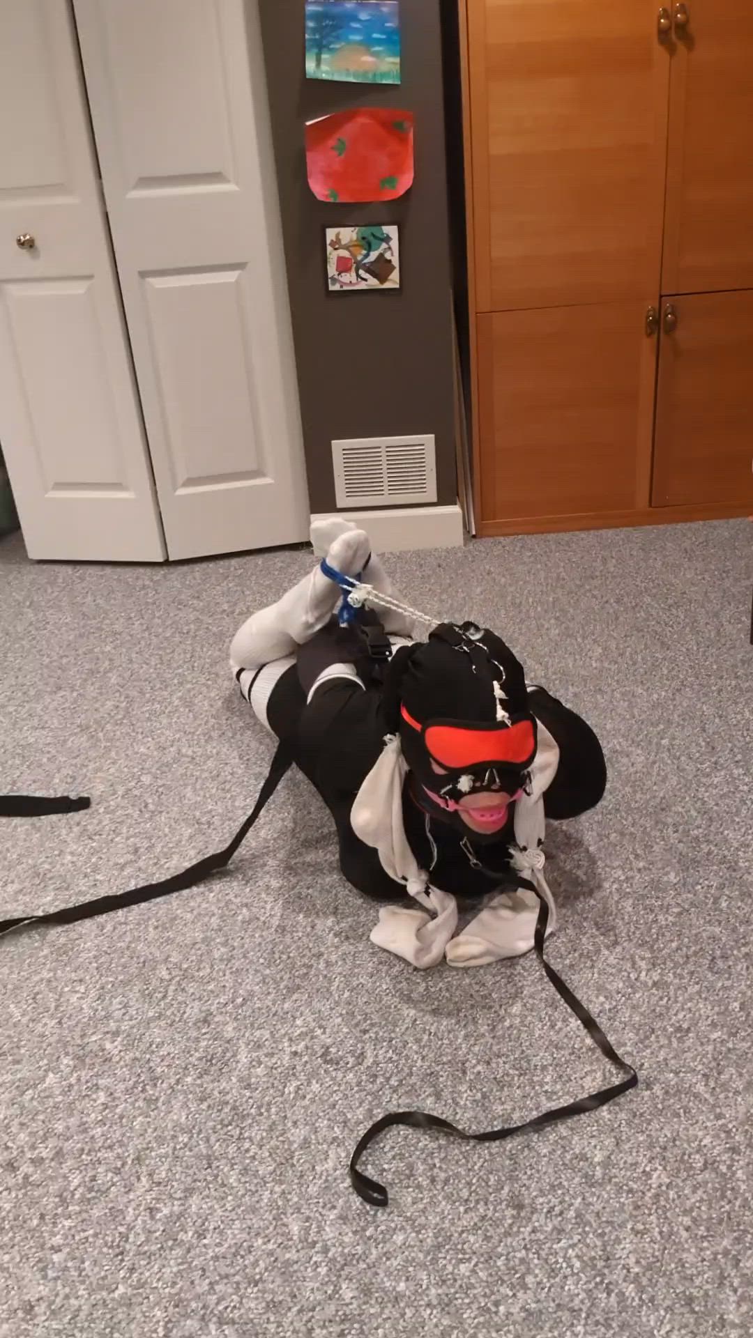 Ball Gagged hogtied