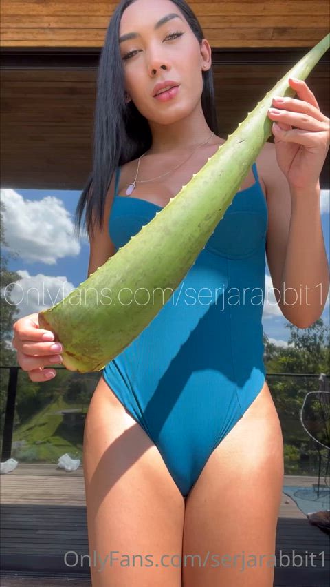 just planted a load of these in my garden to play with