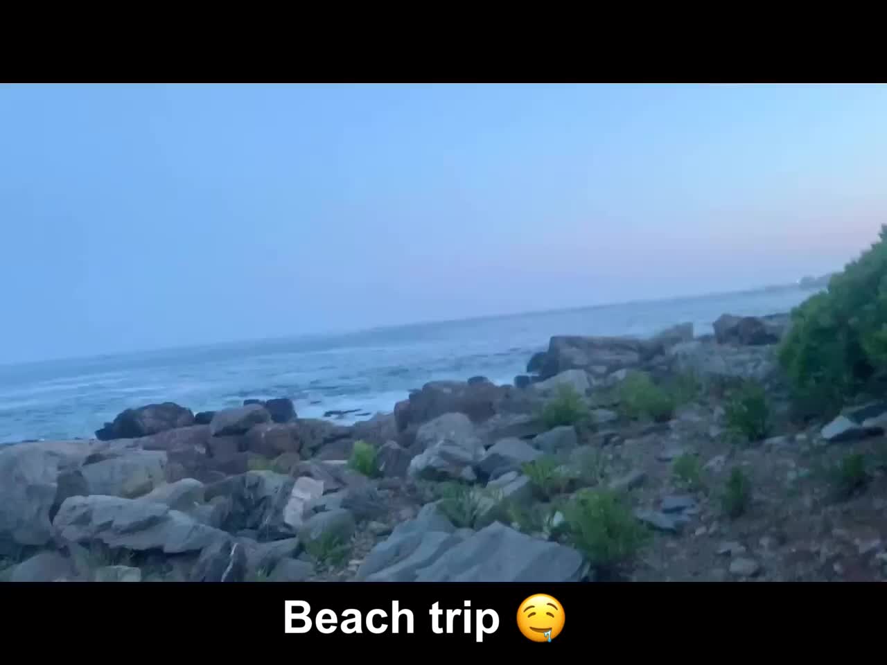 Beach trip