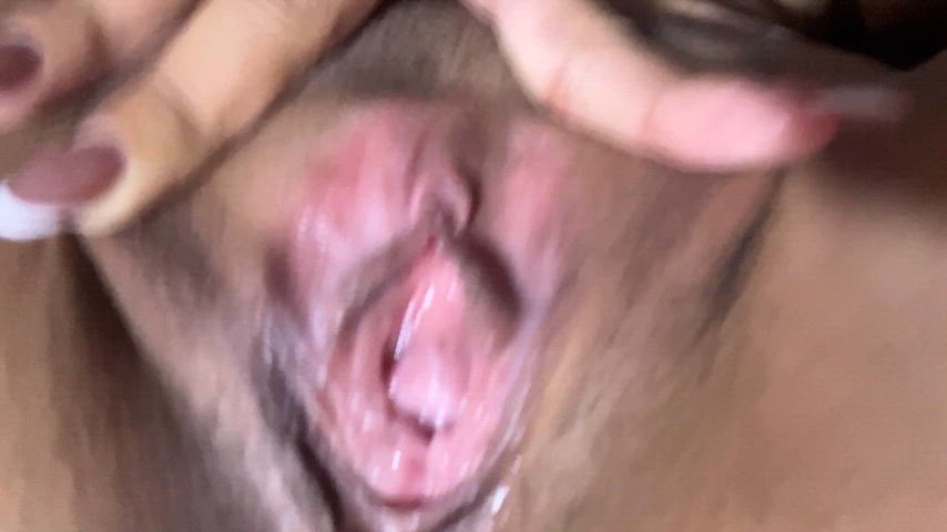 FlimsyTediousEastrussiancoursinghounds thumbnail