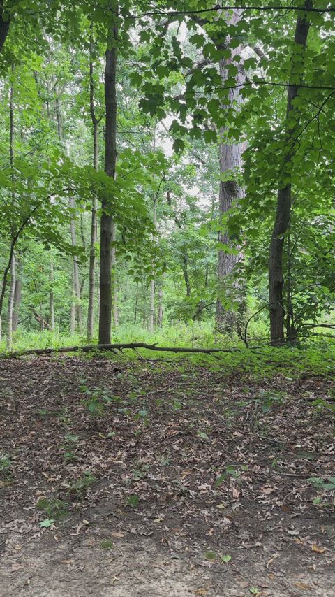 flashing you as we pass on our hikes