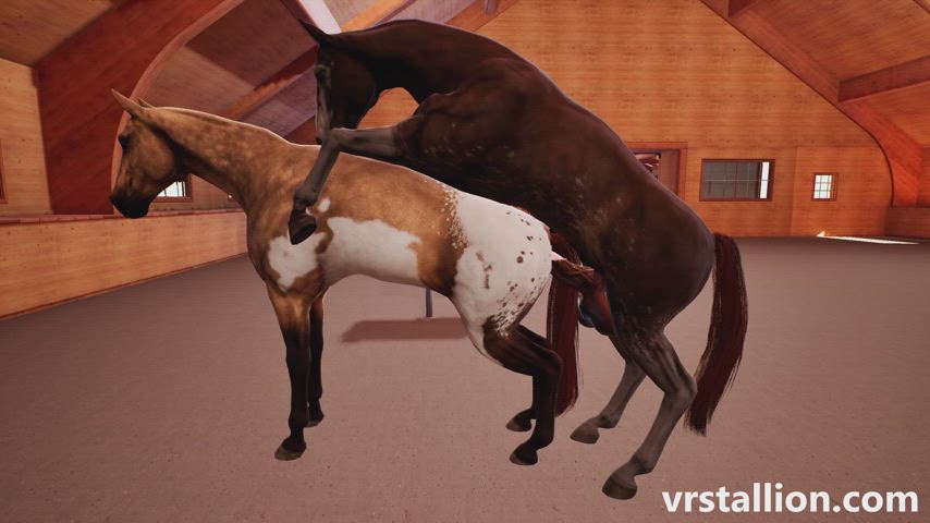Mare fucked in the ass (VR Stallion)