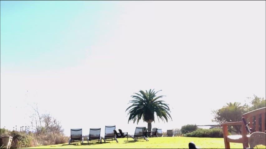 Asian Big Tits Flashing Porn GIF by redrider45