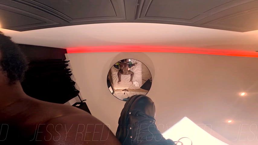 FocusedPlushAustralianfurseal thumbnail