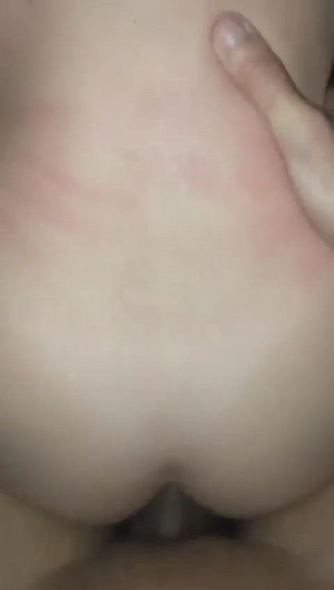 Doggy to look out below !