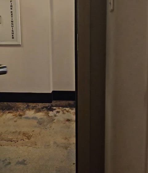 Babes Solo hallway adventure