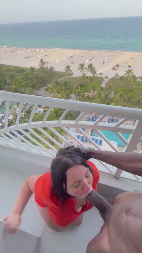 Amazing Vacation