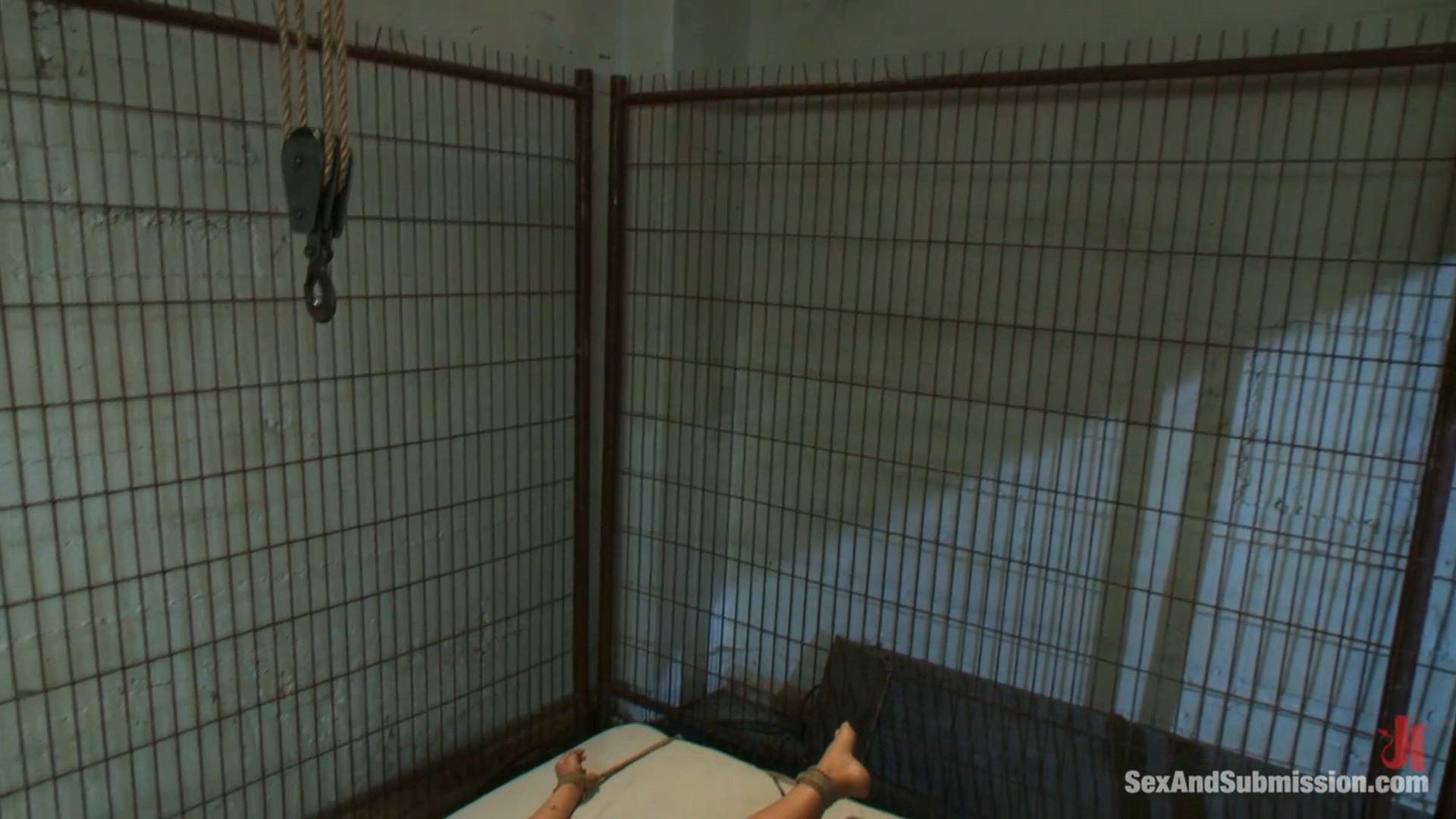 Asa Akira displayed beautifully