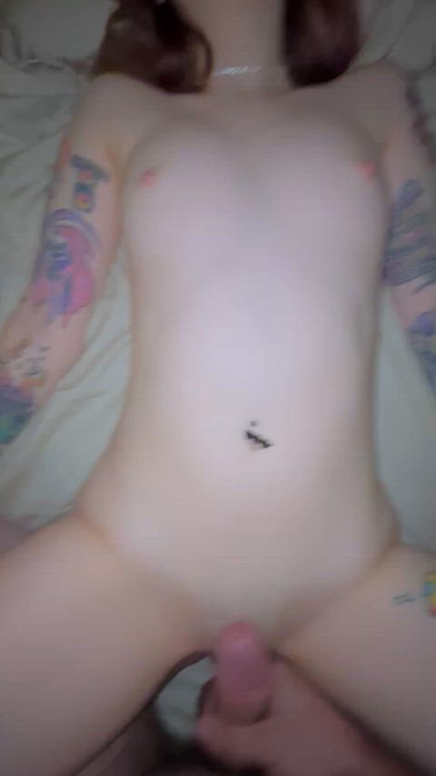 FragrantNeedyTiger thumbnail