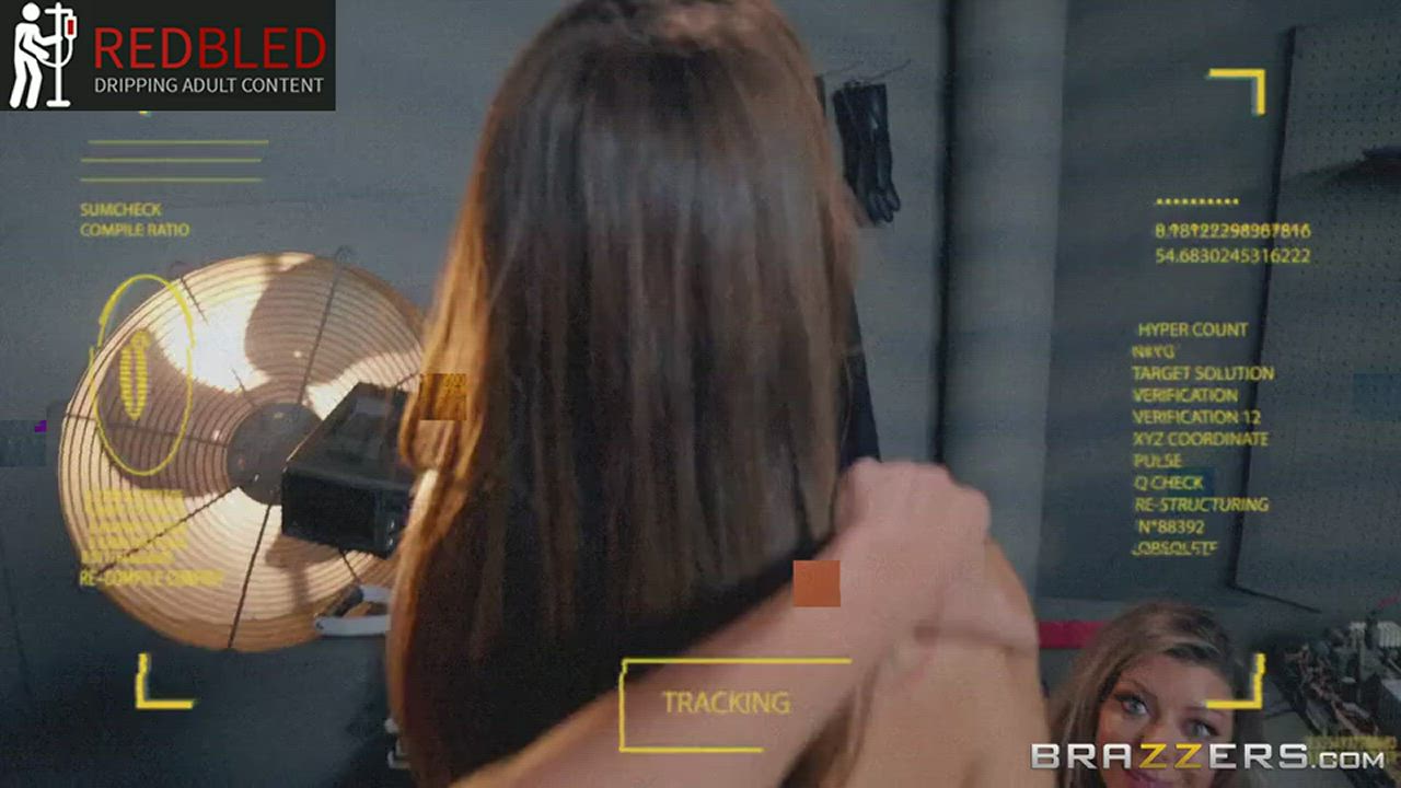 Brunette Hardcore Long Hair Porn GIF by redbledcom