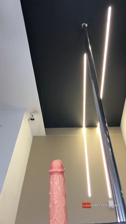 Amateur Big Tits Dildo Latina Masturbating Pussy Riding Solo Teen Wet Pussy Porn GIF by casasalsa