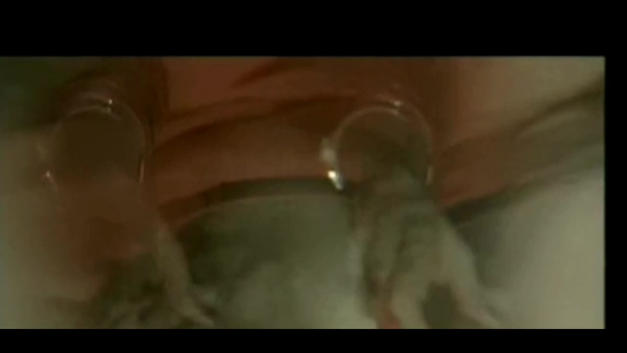Cristina Garavaglia - Voyeur That Cigar slidding in looks incredibly convincing if not extramile worthy.