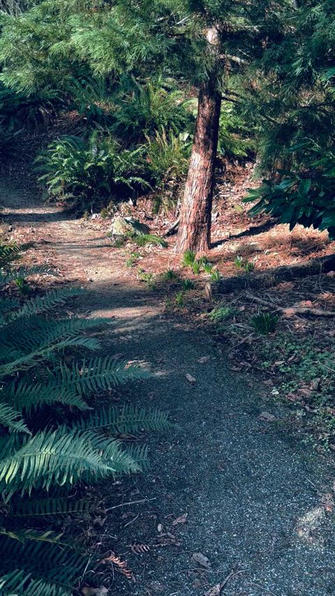 Hiking Natural Outdoor Public Porn GIF by swirl0831