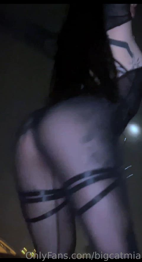 Bigcatmia
