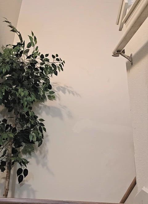 You called me down, need something?