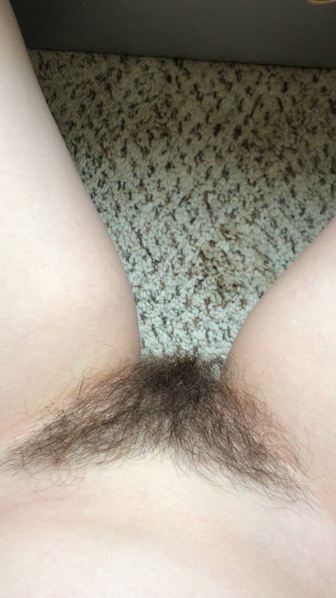 I have a rug… and then some